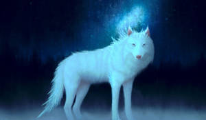 Arte de lobo blanco fantástico en cielos azul oscuro y bosque fondo de pantalla.