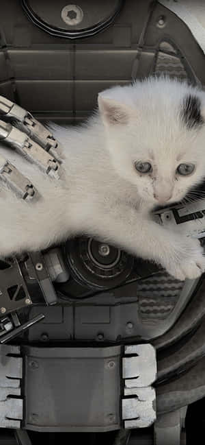 Fondo de The Talos Principle para iPhone XS Max — Realme P4 Fondos de pantalla
