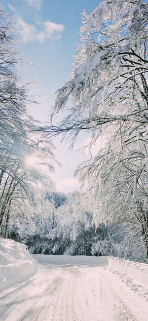 Fondo de País de las Maravillas Invernal — Motorola Edge 70 Plus Fondos de pantalla