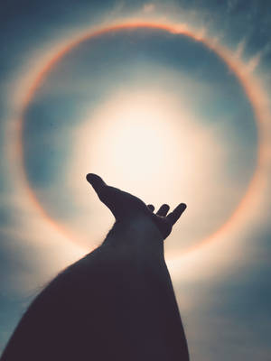 Mano extendida con estética espiritual — Estética Espiritual Fondos de pantalla