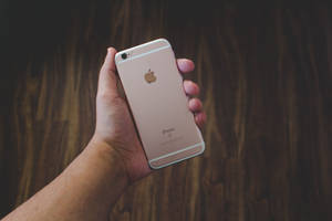 Fondo de pantalla mano sosteniendo iPhone 6 rosa dorado — iPhone Se Fondos de pantalla
