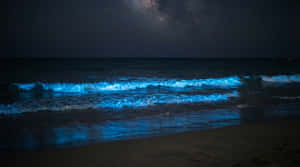 Océano nocturno 4K, olas azules en la noche, fondo de pantalla de océano nocturno, playa con vía láctea, playa brillante, olas bioluminiscentes, Naturaleza 4K, Naturaleza, Playa, Fondo de Mar, Mar