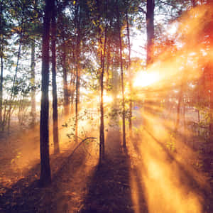 Maravilloso Amanecer — Atardecer Fondos de pantalla