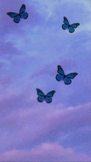Maravilloso Mundo de Mariposas Encantadoras — Mariposa aesthetic Fondos de pantalla