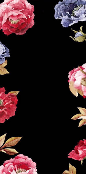 Marco de Flores Floral iPhone — Floral iPhone Fondos de pantalla