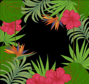 Hoja Arecaceae Árbol Fondo de Pantalla Hojas de Palma Borde - Bordes Hojas Verdes con Flores, Descarga PNG HD