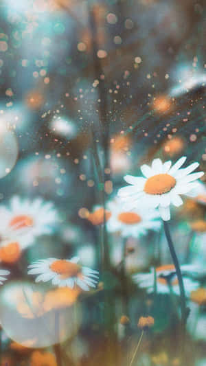 Fondo estético para iPhone — Estético para iPhone Fondos de pantalla