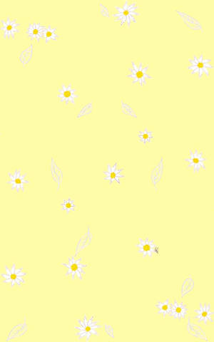 Margaritas sobre un fondo amarillo pastel estético y lindo — Aesthetic amarillo pastel Fondos de pantalla