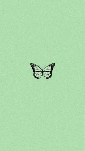 Mariposa estética verde claro — Minimalista Fondos de pantalla