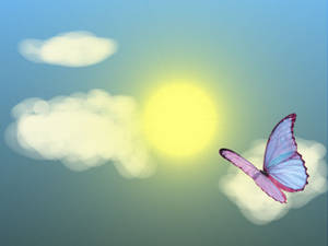 Fondo de pantalla de mariposa flotante estética de verano — Mariposa aesthetic GIF Fondos de pantalla