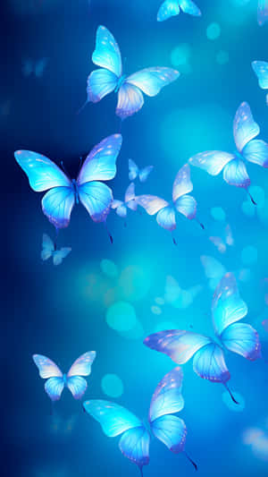 Mariposa,Estética de mariposa,Imágenes estéticas de mariposa,Insecto,Imágenes de insectos,Animal,Imágenes de diseño — Mariposa Fondos de pantalla