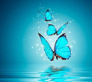 Mariposas Brillantes para WhatsApp DP
