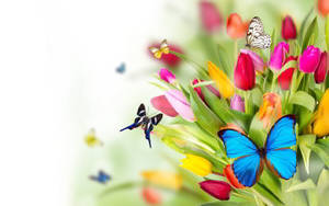 Mariposas y tulipanes de primavera adorables