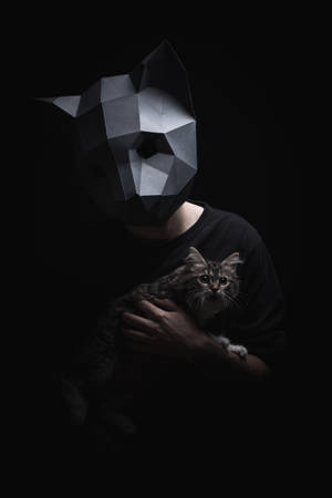 Fondo de pantalla de hombre usando una máscara de gato 3D low poly