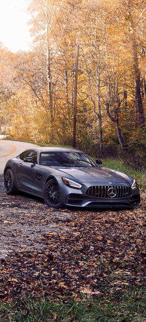 Mercedes AMG iPhone Árboles Otoñales — iPhone 14 Plus Fondos de pantalla