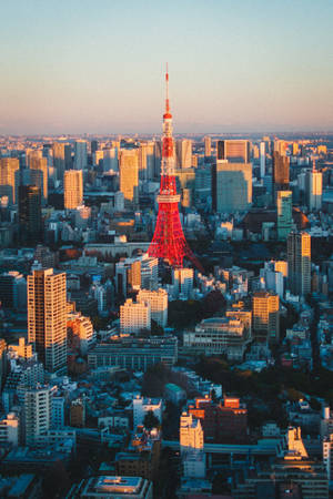 Metrópolis de Tokio y Torre Roja de Tokio — Japón GIF Fondos de pantalla