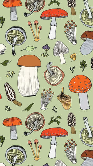 Mezcla Vintage de Hongos y Flora Adorable en Verde Salvia — Estética de hongos Fondos de pantalla