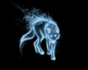 Imágenes geniales de lobos — Lobo Fondos de pantalla