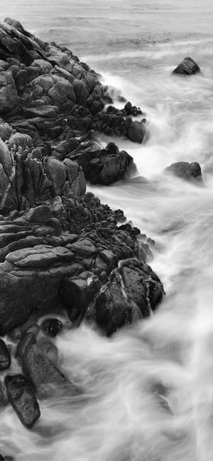 Fondo de pantalla Iphone Xs Monocromático