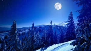 imágenes de luna llena — Estética de nieve Fondos de pantalla