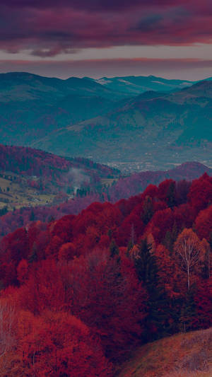 Fondo de pantalla de montaña roja cubierta de árboles