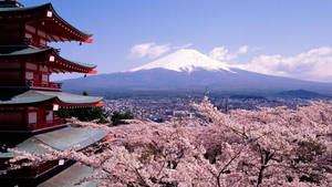 Fondo de pantalla Monte Fuji nevado Japón — Japón GIF Fondos de pantalla
