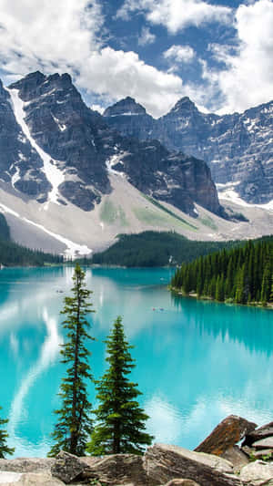 Naturaleza para Android