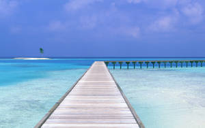 Fondo de pantalla de muelle con vista al océano — Vista al océano Fondos de pantalla