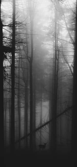 Fondo blanco y negro — Moto G47 Fondos de pantalla