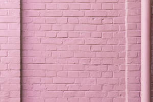 Muro de ladrillos rosa pastel — Rosa pastel Fondos de pantalla