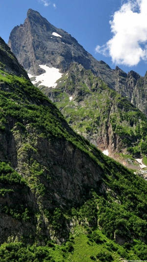 Naturaleza de Bosque Montañoso para iPhone — Naturaleza iPhone Fondos de pantalla