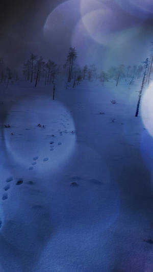 Naturaleza de Invierno para iPhone — Naturaleza iPhone Fondos de pantalla