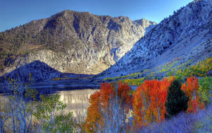Fondo de pantalla de Naturaleza de Montaña Fría