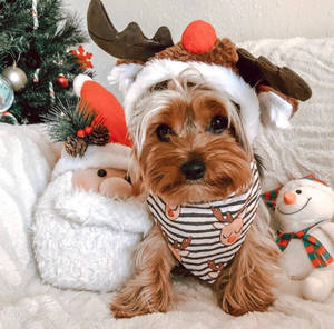 Navidad Preppy