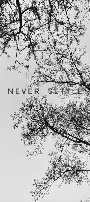 Never Settle Árbol Blanco Negro — iPhone 14 Pro Fondos de pantalla