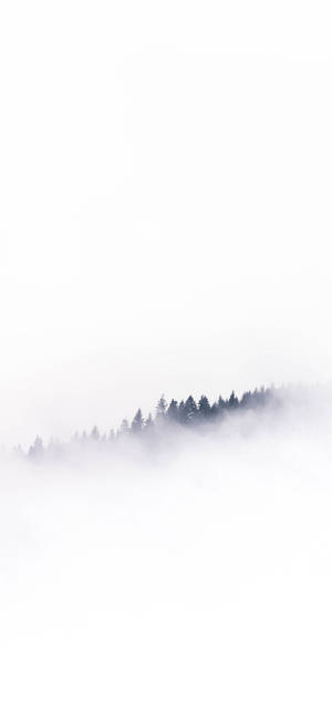 Nubes Blancas en Árboles de Montaña iPhone — iPhone 18 Pro Max Fondos de pantalla