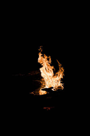 Fondo de pantalla Oled Camp Fire