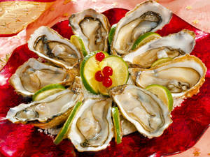 Fondo de pantalla de ostión fresco de mariscos — 4:3 Fondos de pantalla