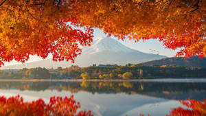 Otoño MacBook Monte Fuji