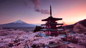 Pagoda Chureito con vista al Monte Fuji — Japón GIF Fondos de pantalla