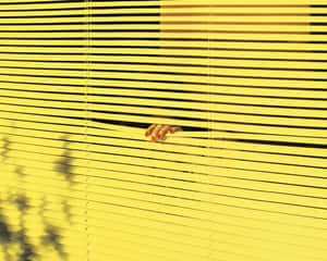 Paisaje Amarillo Estético Cautivador — Estético Amarillo Fondos de pantalla
