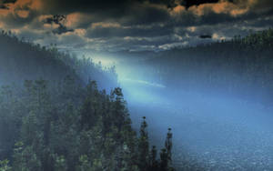 Bosque Neblinoso 265737 …