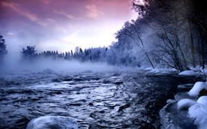 Fondo de pantalla de paisaje congelado de niebla fría — Frío Fondos de pantalla