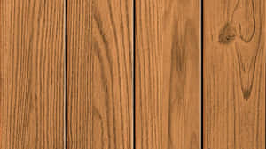 Paisaje de bosque al atardecer — 1280x720 Fondos de pantalla