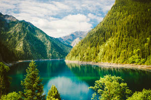 Fondo de pantalla de Paisaje de Naturaleza Verde