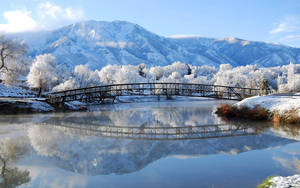 Fondo de pantalla de paisaje de puente invernal