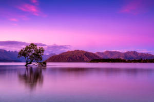 Paisajes de Lago Ondulante