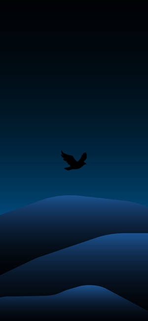 Pájaro y Paisaje Mínimo Oscuro iPhone — iPhone 12 Fondos de pantalla