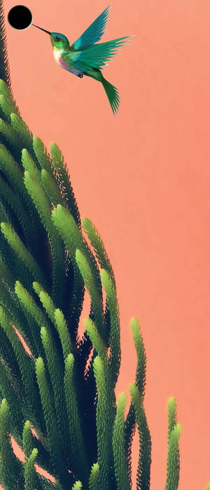 Pájaro Y Plantas Punch Hole 4K — Galaxy Z Flip 7 Fondos de pantalla