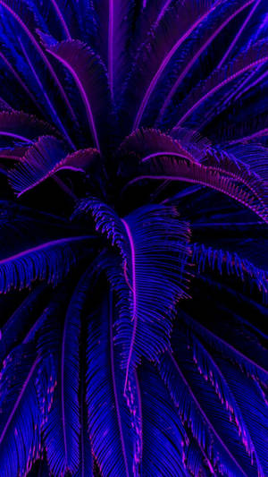Palmeras de coco estéticas morado oscuro — Púrpura oscuro aesthetic Fondos de pantalla